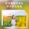 富士(FUJIFILM)PSC2D 小俏印紫色二代 +1盒耗材+小黄人实验室贴纸 手机无线照片打印机照片冲印机(内置电池版)送女友送闺蜜生日纪念日礼物