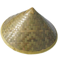 泽奋 斗笠 53cm 个