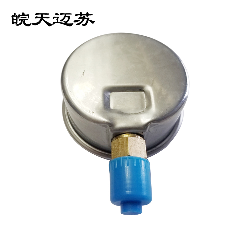 皖天迈苏YN-60普通耐震压力表2.5级高清大图