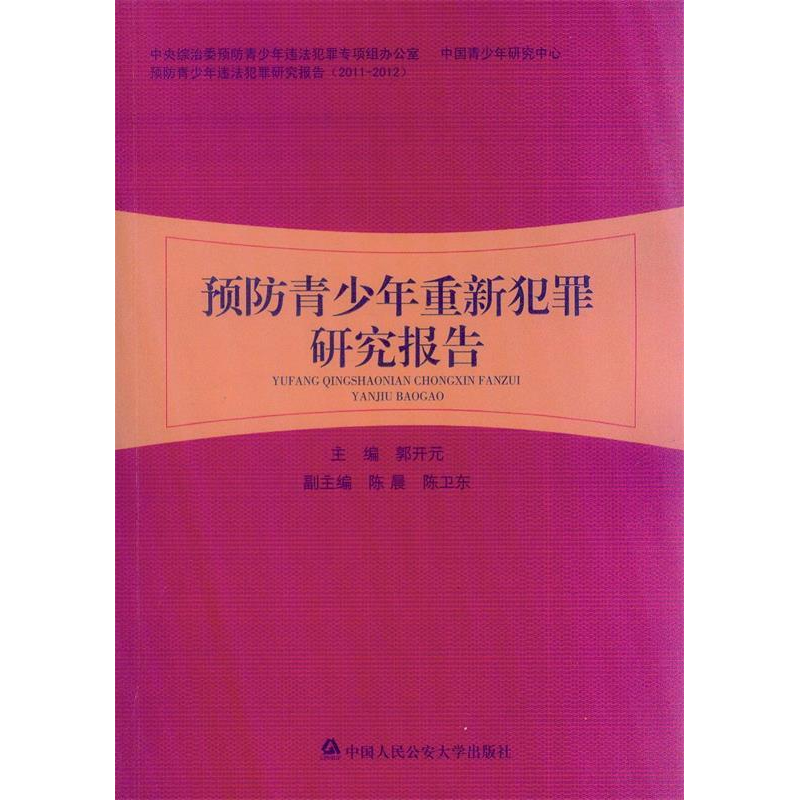 正版新书】预防青少年重新犯罪研究报告郭开元9787565312878