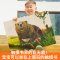 触摸书+幼儿认知小百科 [正版]宝宝的第一本触摸书 早教触摸书婴儿书感官刺激绘本 那么大地板书 1岁撕不烂立体儿童读物0