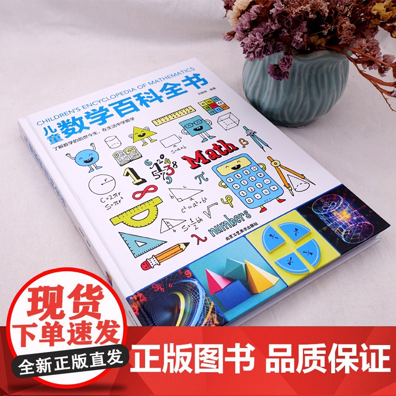 儿童数学百科全书 6-12岁少年小学生数学课外读物奇妙的数学书籍真好玩揭秘数学原理数学思维启蒙训练数学原来可以这样学初中高清大图