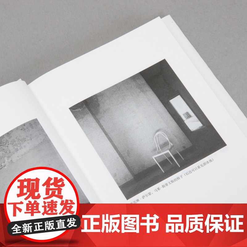 落差:经受摄影的考验 于贝尔·达弥施 著 摄影 艺术批评 摄影小史 云的理论 本雅明 理想国高清大图