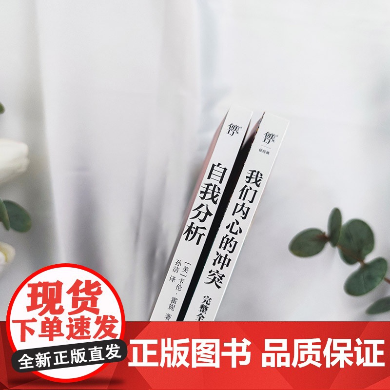我们内心的冲突+自我分析(完整全译本,附赠思维导图。心理学家卡伦?霍妮给普通人的心灵疗愈指南)自卑与超越乌合之众人性的弱高清大图