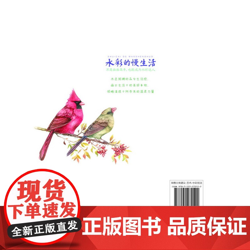 水彩的慢生活:不是画画高手,也能成为水彩达人 云中山人三淼 化学工业出版社 正版书籍高清大图
