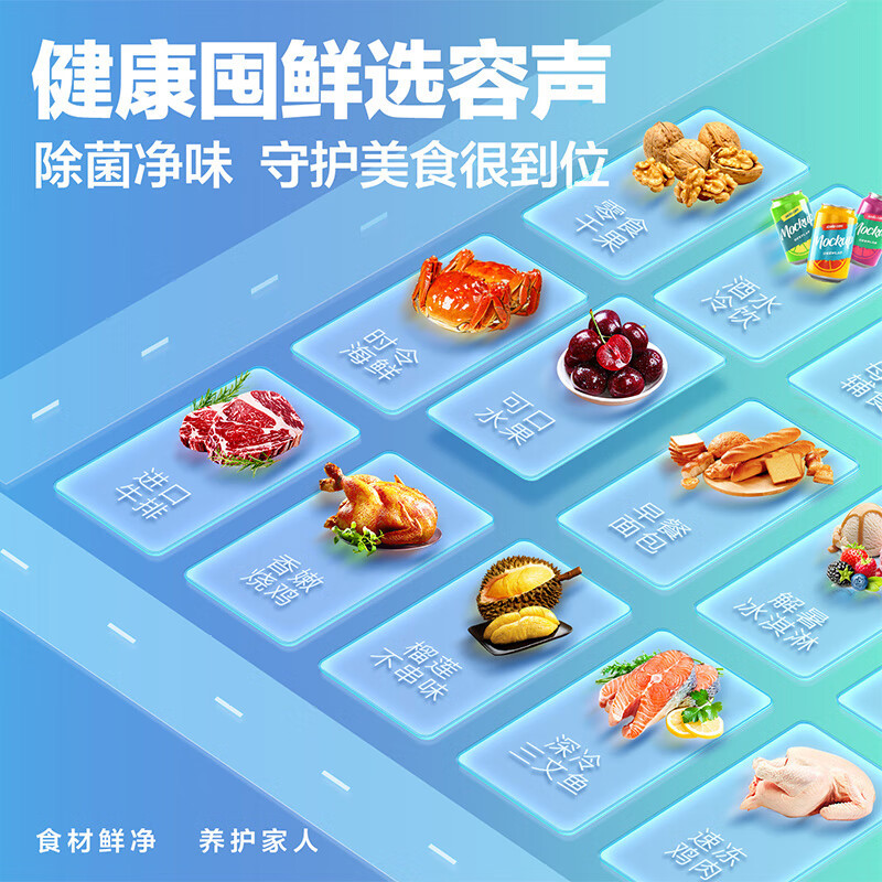 容声(Ronshen) 309升大容量冰柜家用商用冷藏冷冻转换单温冷柜 一级能效 雪糕冰柜 厨房冰箱 309升[节能单温