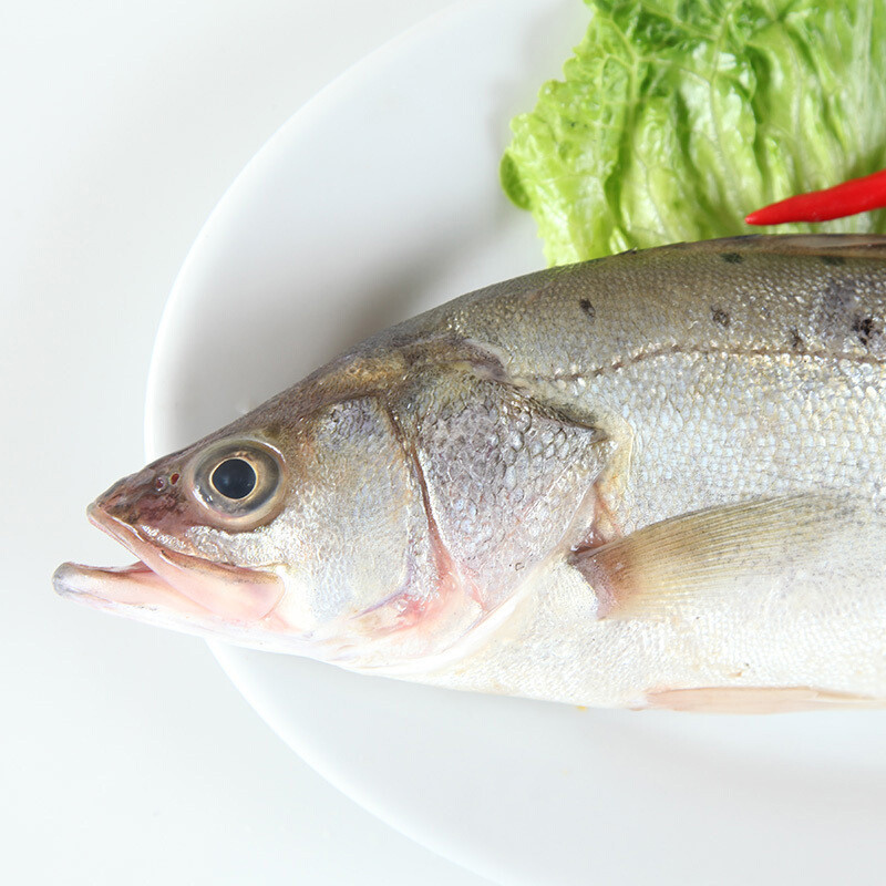 新鲜鲈鱼 海鲈鱼 七星鲈鱼 寨花鱼 花鲈 海鱼 顺丰空运 海鲜水产1kg