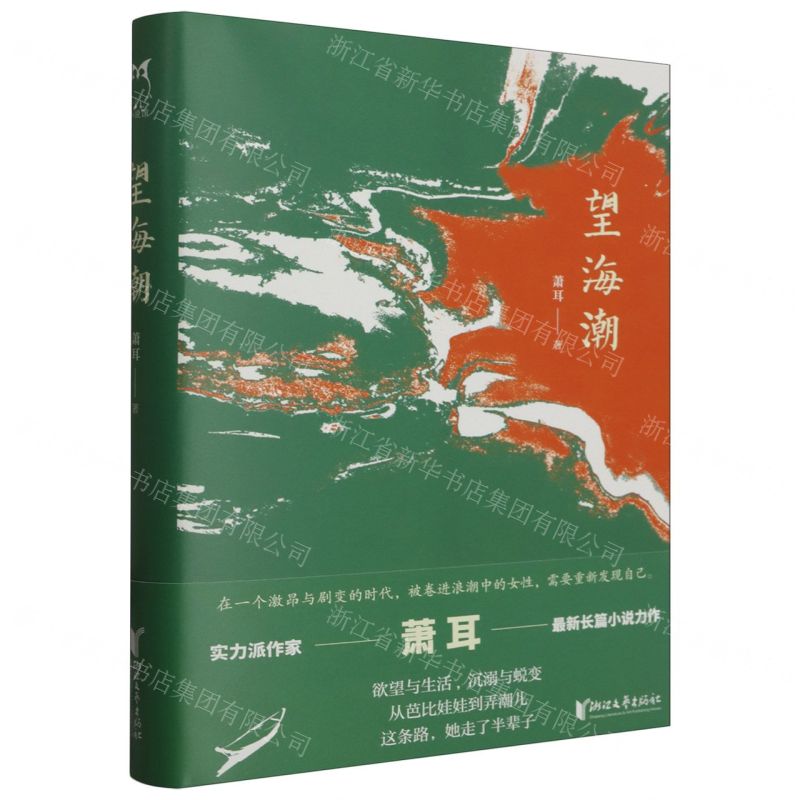 [N]望海潮(精)-9787533974305高清大图