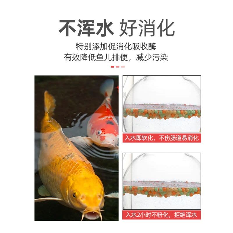 鱼食金鱼锦鲤鱼饲料小颗粒鱼粮家用蝴蝶鲤观赏鱼上浮增色增肥专用图片