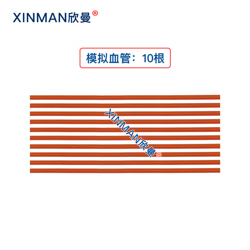 欣曼科教 高级外科综合技能训练组合模型XM-LV70高清大图