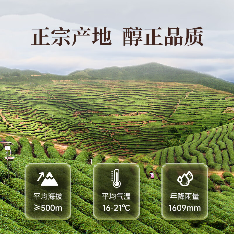 华祥苑 茶叶 红茶 武夷山梧桐红茶 礼盒装250g高清大图