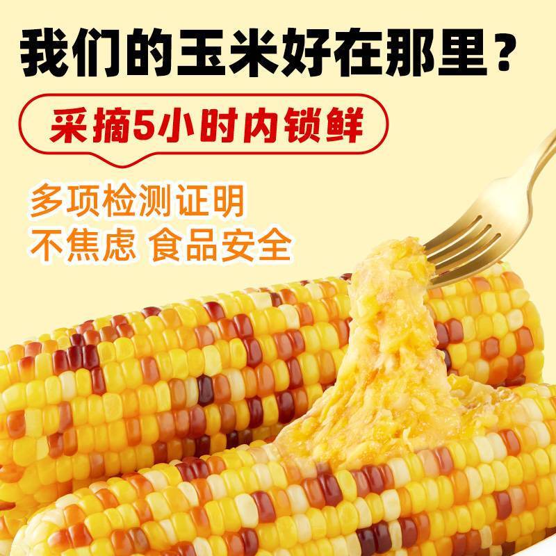 十月稻田 花甜糯玉米4.4斤(220g*10根) 杂粮礼盒 早餐零食 微波即食