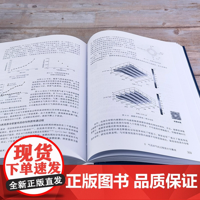 煤炭气化技术 理论与工程 煤炭清洁转化技术丛书 煤气化技术的最新进展和工程应用 煤气化技术开发设备设计和工程设计人员参考高清大图