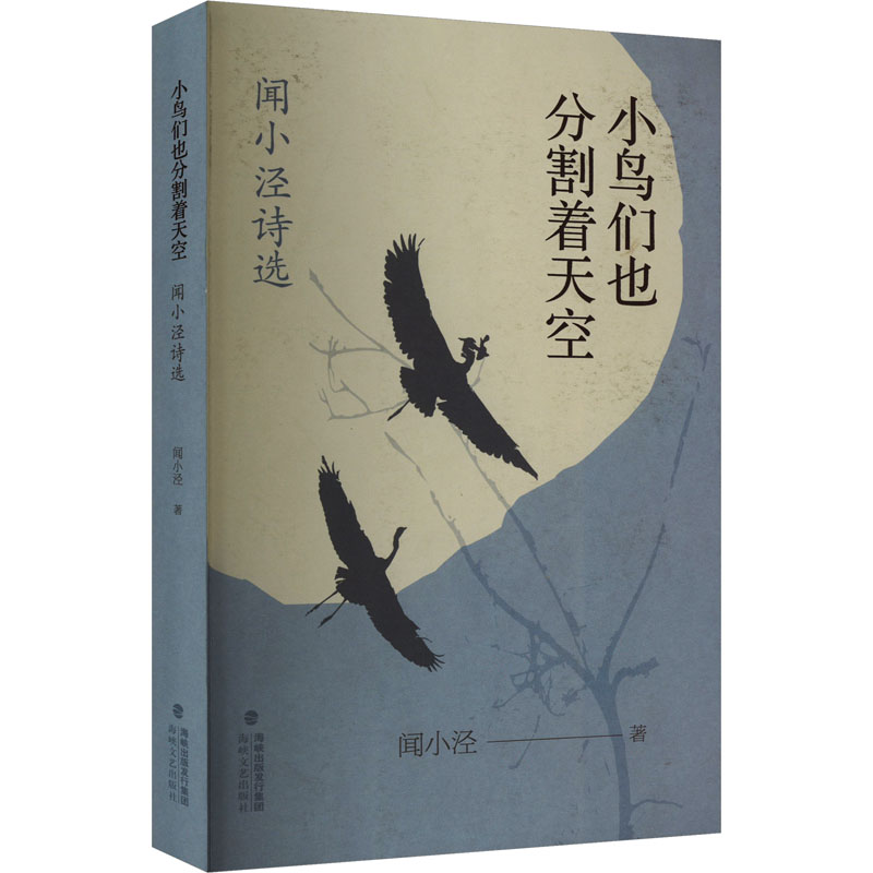 小鸟们也分割着天空 闻小泾诗选