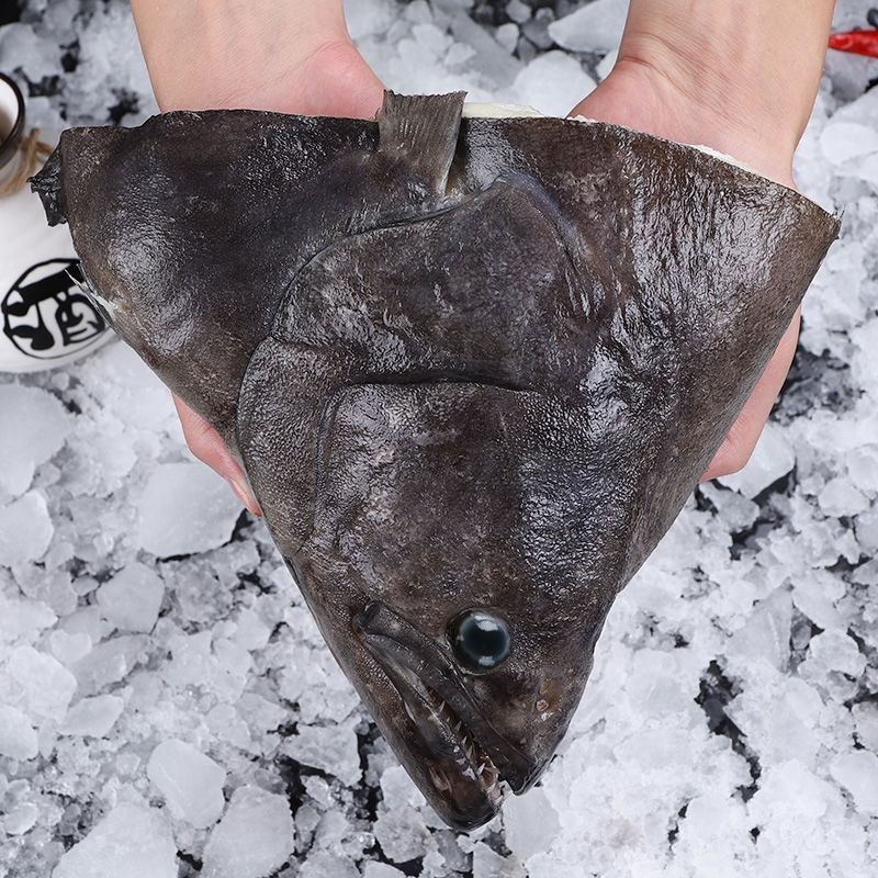 赛卡伊鲽鱼头深海鲽鱼特大鱼头无冰衣碟头鱼比目鱼鱼头海鲜水产整箱