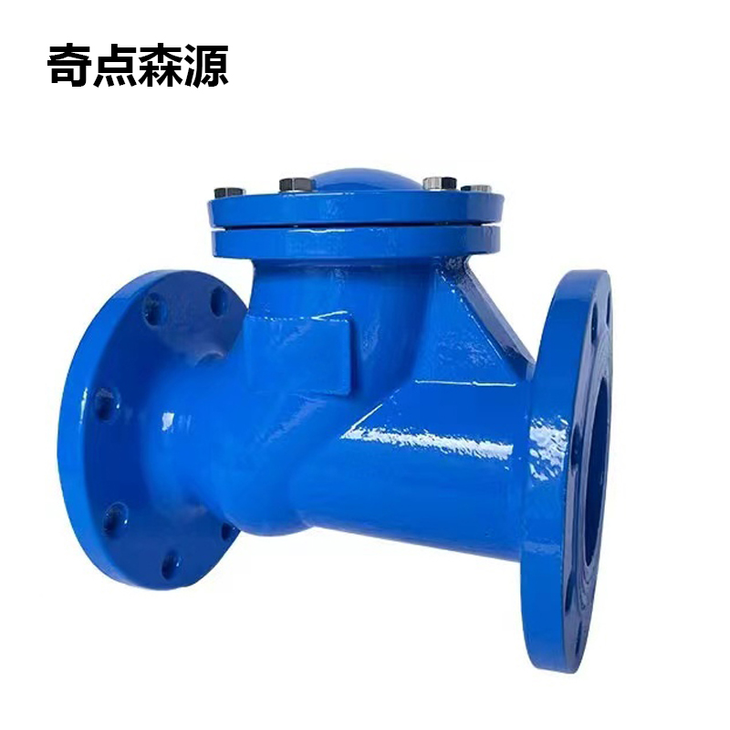 奇点森源 逆止阀 DN50 个高清大图