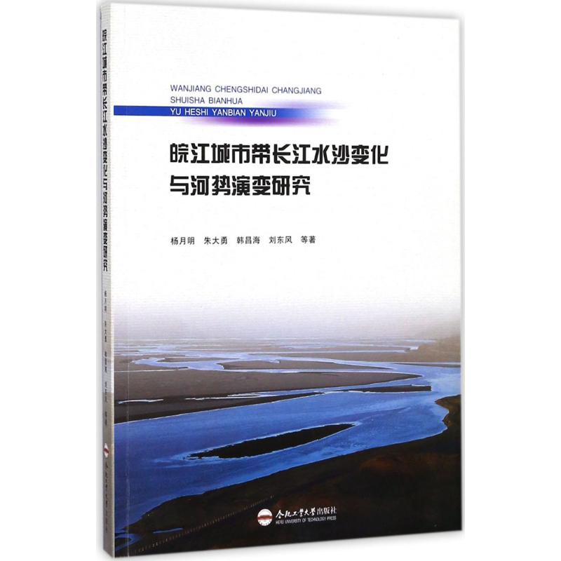 [M]皖江城市带长江水沙变化与河势演变研究-9787565035708高清大图