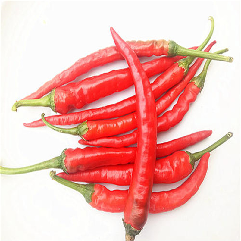 干调-彪山二荆条 2kg