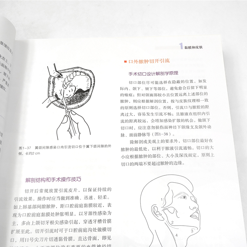 [正版]书籍 口腔颌面外科临床解剖学(第2版) 张志愿 俞光岩 口腔专业类书籍 口腔颌面外科临床应用 口腔解刨学 口腔颌高清大图