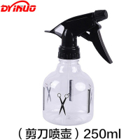 DYINUO 喷壶250ml 个