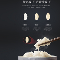 格力大松(TOSOT)迷你电饭煲GDCF-2008C金康煲格力IH立体加热2-3-4人小型饭锅2智能WIFI糙米发芽饭