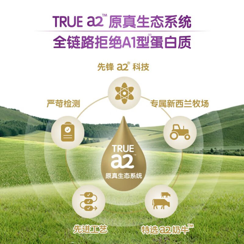 原装进口澳洲A2 行动力营养奶粉 骨胶原蛋白肽中老年学生奶粉 紫吨吨900g高清大图