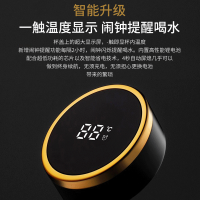 英国Vanow智能保温杯男女[智能测温]茶水分离商务泡茶杯316不锈钢礼盒定制大容量车载便携水杯子 VO-PN-450