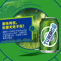 乐堡(Tuborg)啤酒 330ml*6*4听整箱装