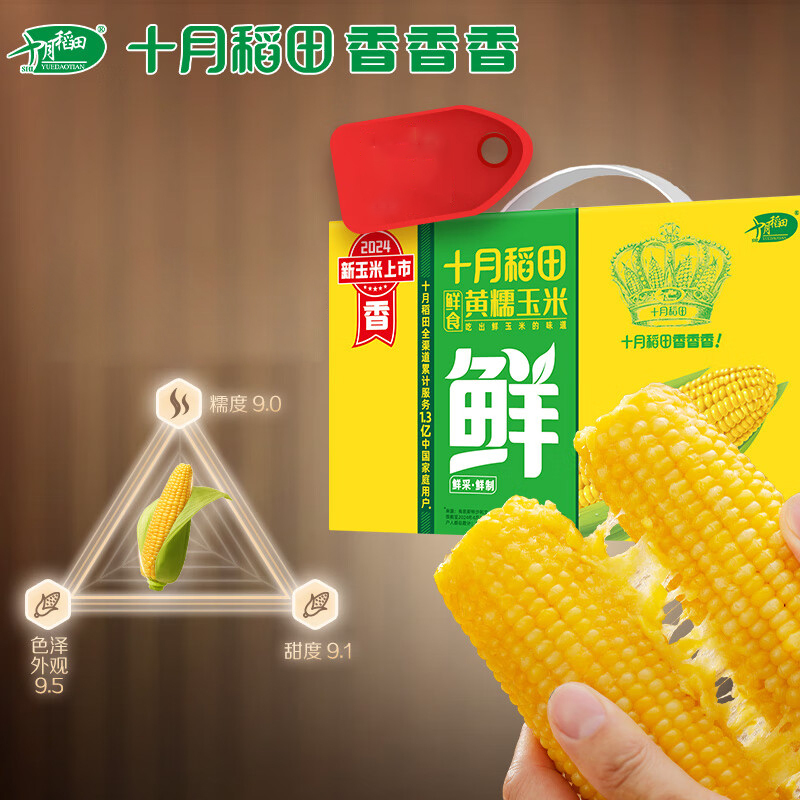 十月稻田玉米鲜食黄糯玉米东北黏甜玉米2.2kg