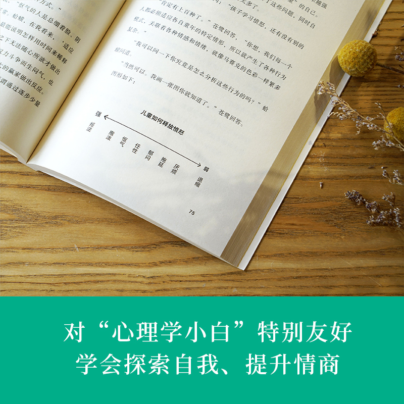 [正版]书店 蛤蟆先生去看心理医生 心理学书籍英国经典心理咨询入门书 知名心理学家李松蔚强烈 情绪管理心理学书籍高清大图