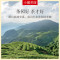 小罐茶 140g 彩标系列铁观音茶清香(罐)