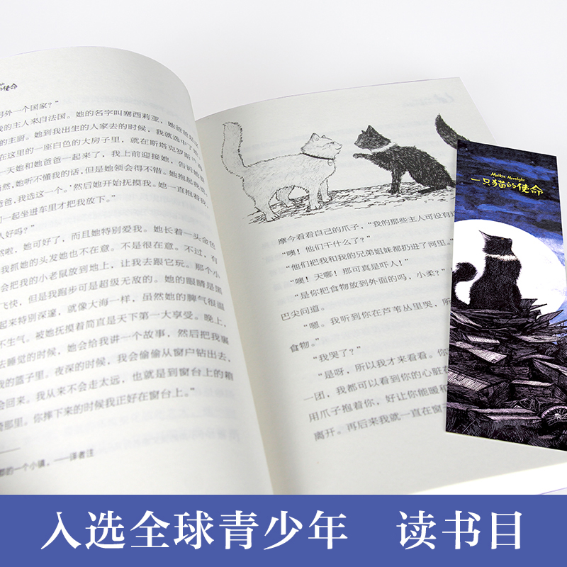 一只猫的使命 [正版] 一只猫的使命 长青藤大奖小说书系 文学8-10-12-15岁少儿读物图画书 三四五六年高清大图