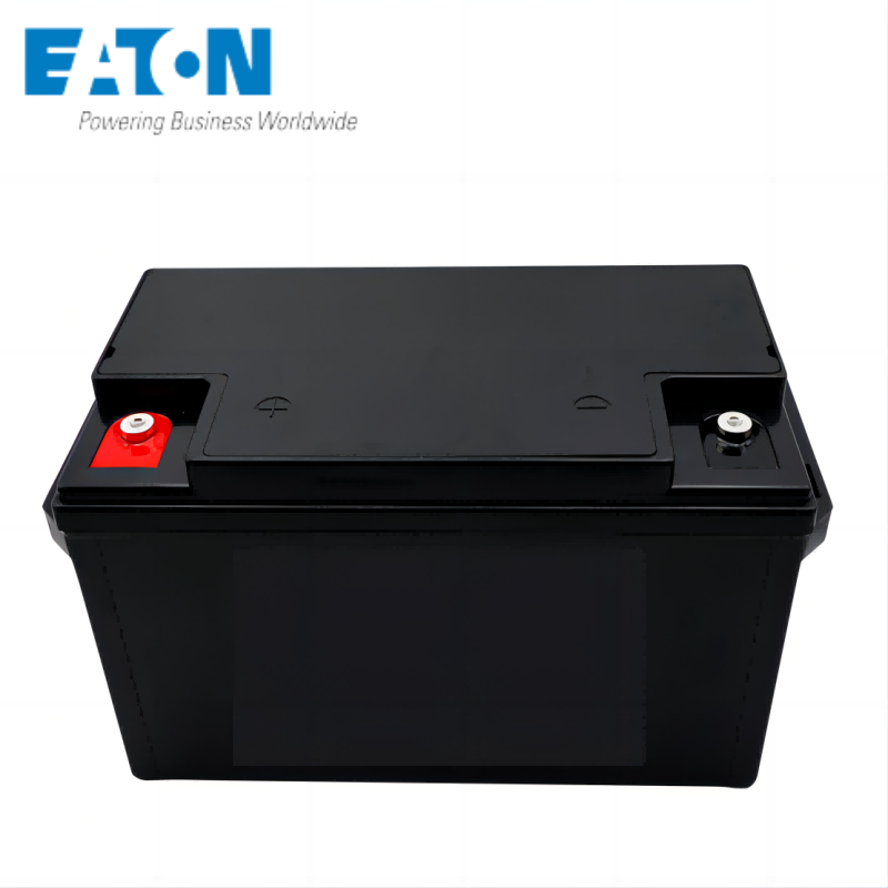 伊顿蓄电池 P-ETNFLB12200-H高清大图