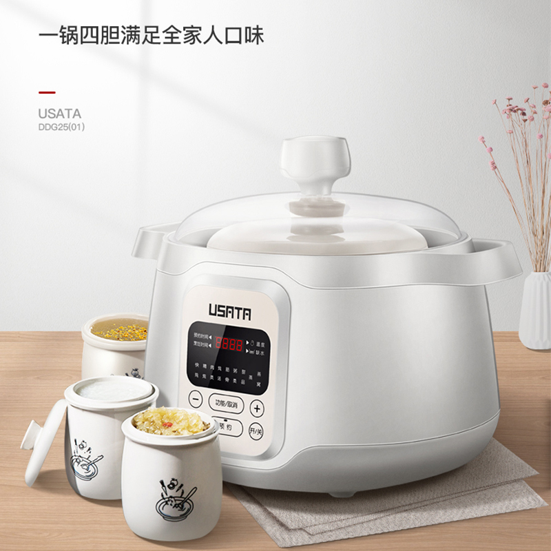 御尚堂(USATA) DDG25(01)电炖锅bb家用全自动隔水炖煲汤锅煮粥器电炖盅