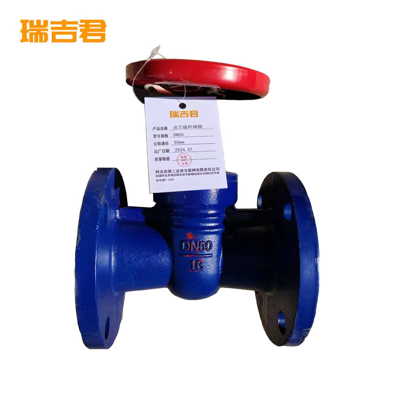 瑞吉君 法兰暗杆闸阀 DN50 单位:个高清大图