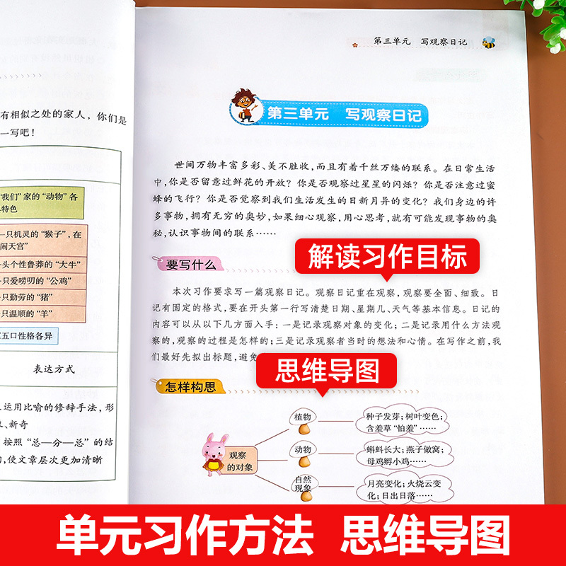 [全套6册]包含以上全部(推荐购买) 小学四年级 [正版]老师!四年级同步作文上册下册全套人教版4年级上下册语文同步作文