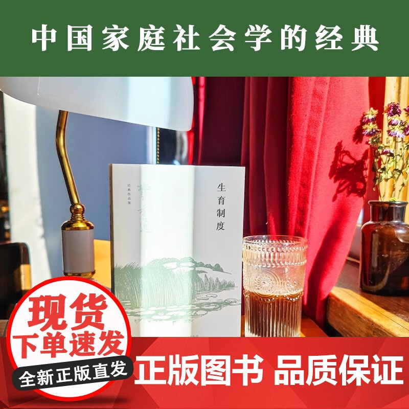 生育制度 费孝通 著 社会学高清大图