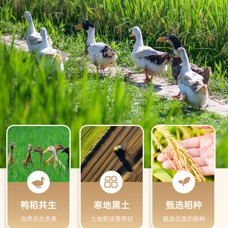 咪然 天然鸭稻米 2.5kg(单位:袋)真空包装高清大图