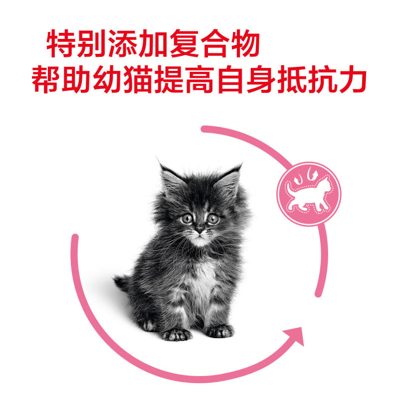 ROYAL CANIN 皇家猫粮 K36幼猫猫粮 全价粮 4-12月龄 0.4kg 支持免疫系统 呵护消化健康