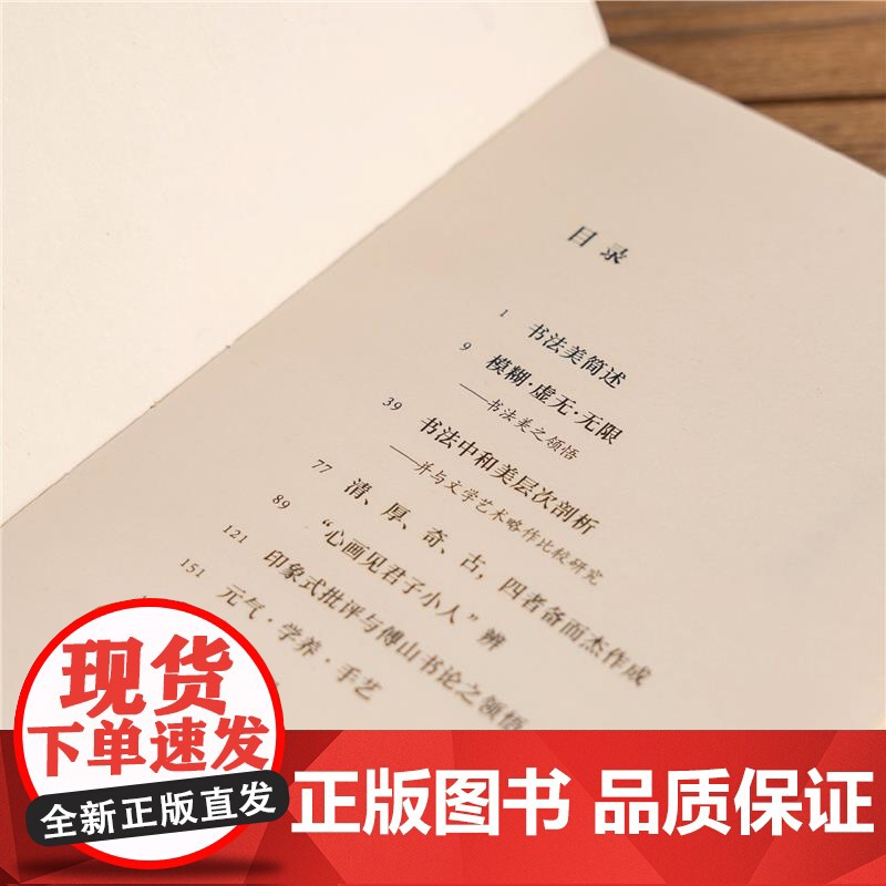 书法美之领悟 湖山艺丛 书法家章祖安谈论书法审美及相关理论问题专集图文并茂语言朴实可读性指导性俱佳领悟书法之美提升书法水高清大图