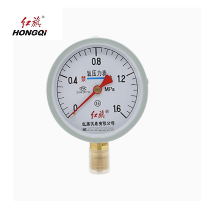 红旗 氧气压力表定制检测款YO100 （压力值需备注）块