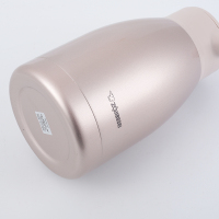 日本象印(ZO JIRUSHI)保温瓶HA15C 304不锈钢家用咖啡壶暖水瓶热水瓶 香槟色-PF