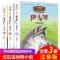 狼王梦注音版动物小说全套3册正版小学生一至四年级课外书 狼王梦注音版动物小说全套3册正版小学生一至四年级课外书