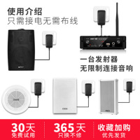 先科 D48 无线蓝牙壁挂音响