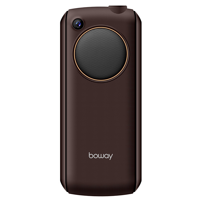 邦华(BOWAY)老人手机大字体 大音量老年手机直板按键功能机长待机移动联通版广场舞手机 N91 棕金色