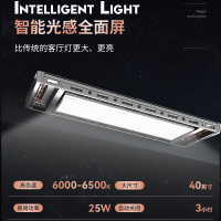 好太太(Hotata)超薄电动隐形晾衣架嵌入晾衣杆隐藏晒衣全自动智能晾衣机室外阳台 [GW-1296H-SJ]