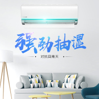 松下（Panasonic）大1匹 直流变频冷暖空调 壁式挂机 DG9KM1 节能静音