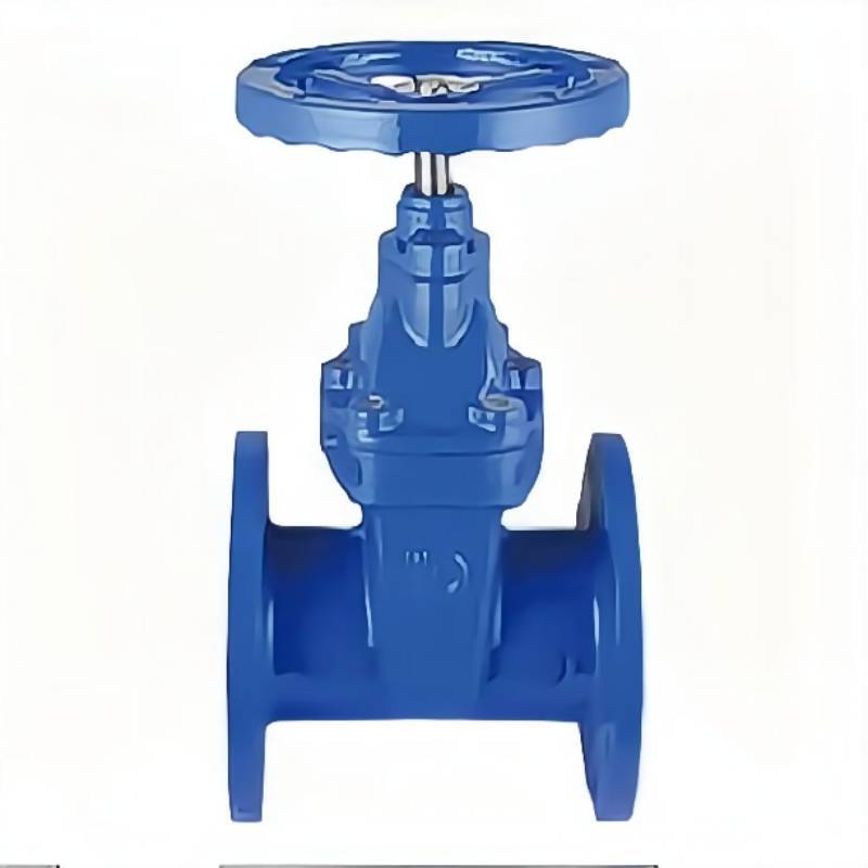 力盾 法兰暗杆弹性座封闸阀 6540 DN80 台高清大图