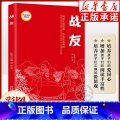 战友（注音版） 【正版】战友 彩图注音版 7-8-9岁小学一二年级课外书儿童文学红色经典书籍阅读书系爱国主义教育 弘扬书