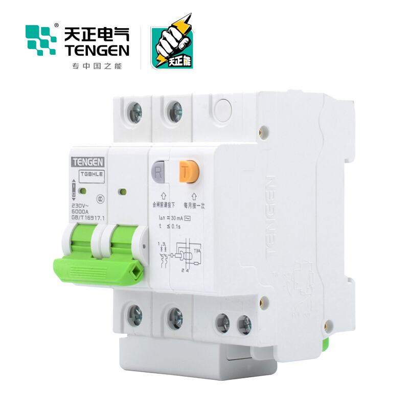 天正电气瑞彩系列TGBHLE-125 空气开关 2P C100A 30mA 335022300007 微型漏电保护断路器